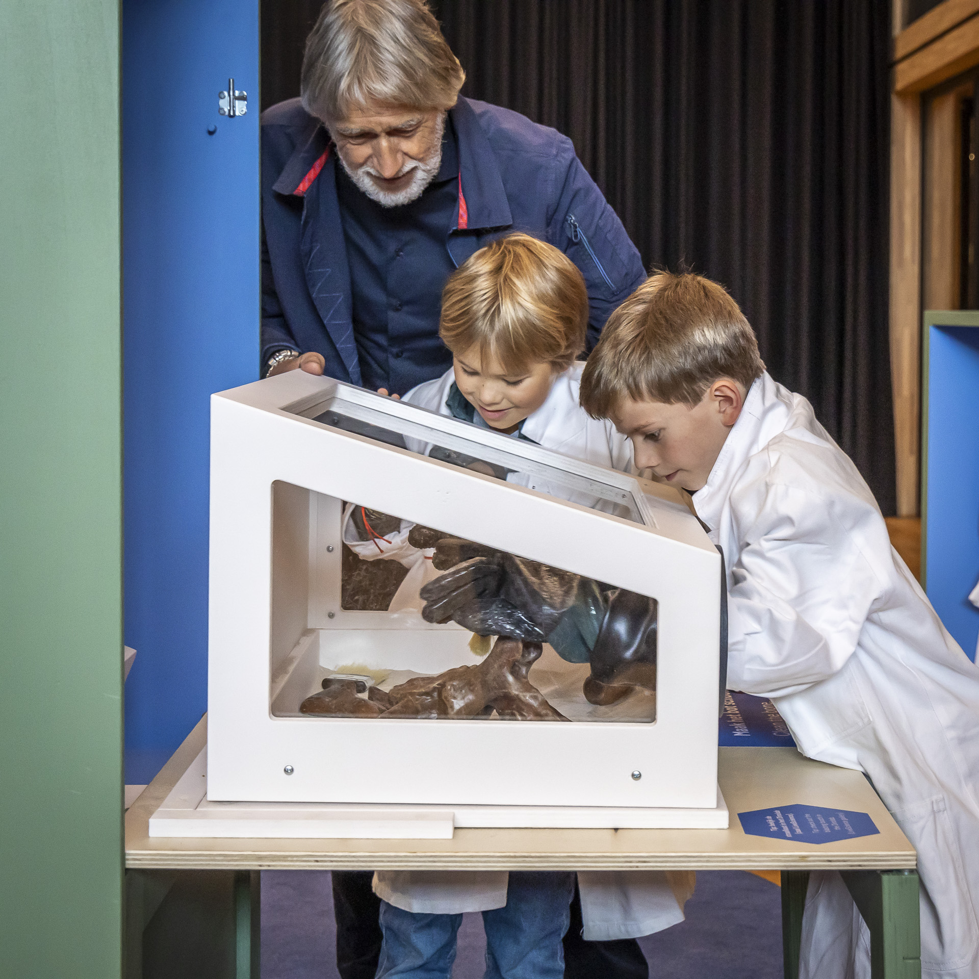 Kaleido_Collective_Naturalis_Dino-11